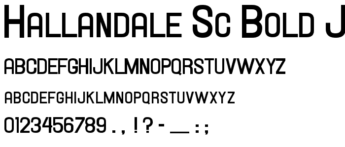 Hallandale SC Bold JL police