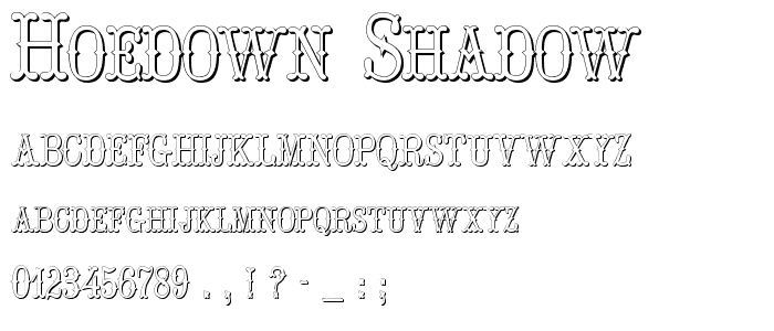 Hoedown Shadow police