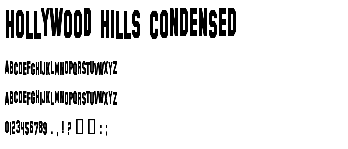 Hollywood Hills Condensed police