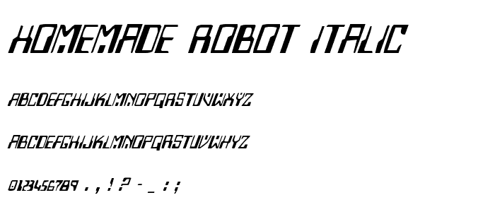 Homemade Robot Italic police