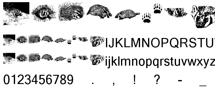 KR Crystal_s Badgers font