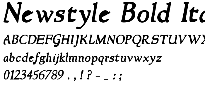 NewStyle Bold Italic police