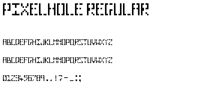 Pixelhole Regular police