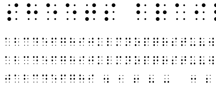 Sheets Braille police