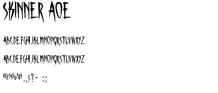 Skinner AOE font