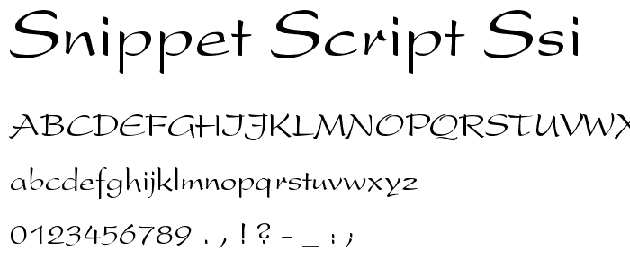 Snippet Script SSi police