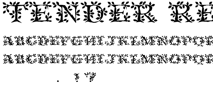 Tender Regular font