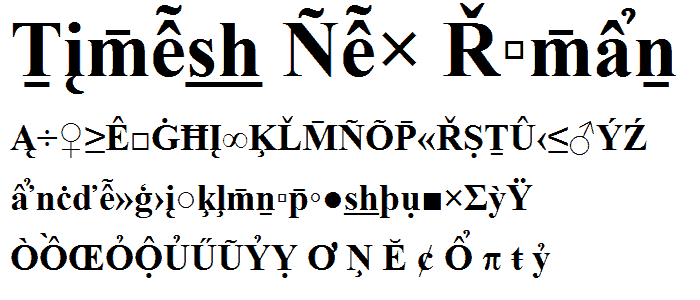 Times New Roman Special G2 Bold font