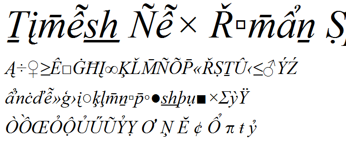 Times New Roman Special G2 Italic font