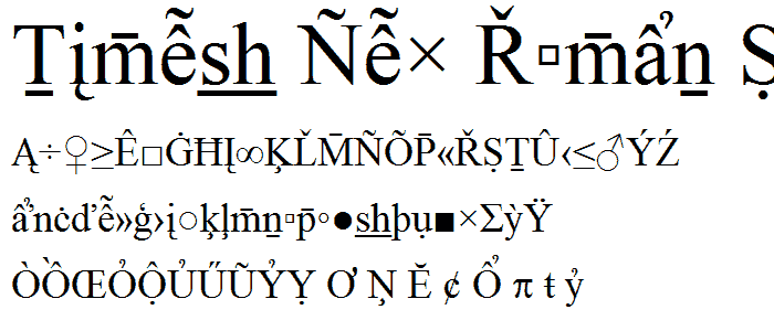 Times New Roman Special G2 font