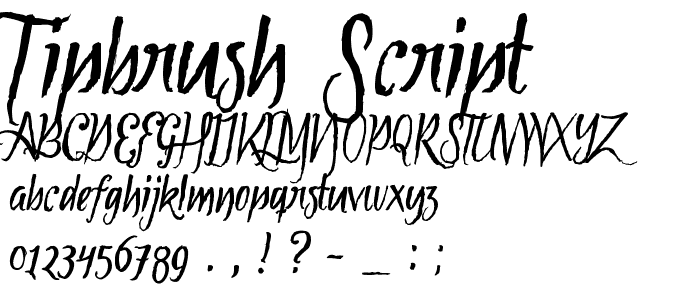 Tipbrush Script police