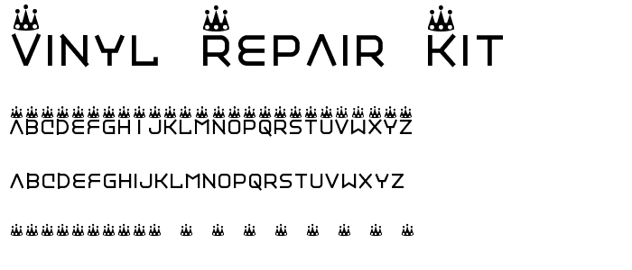 Vinyl repair kit police